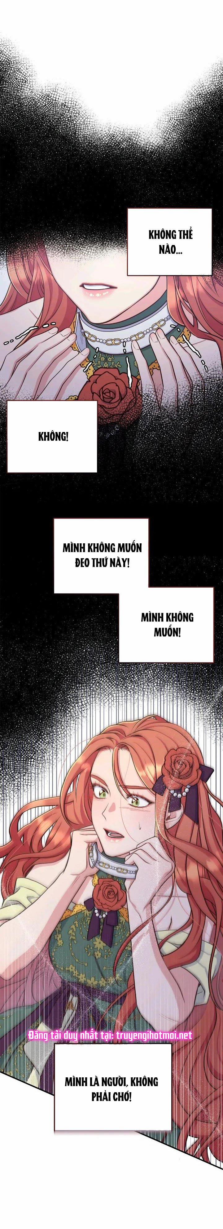 [15+] Giam Cầm 5.1 trang 1