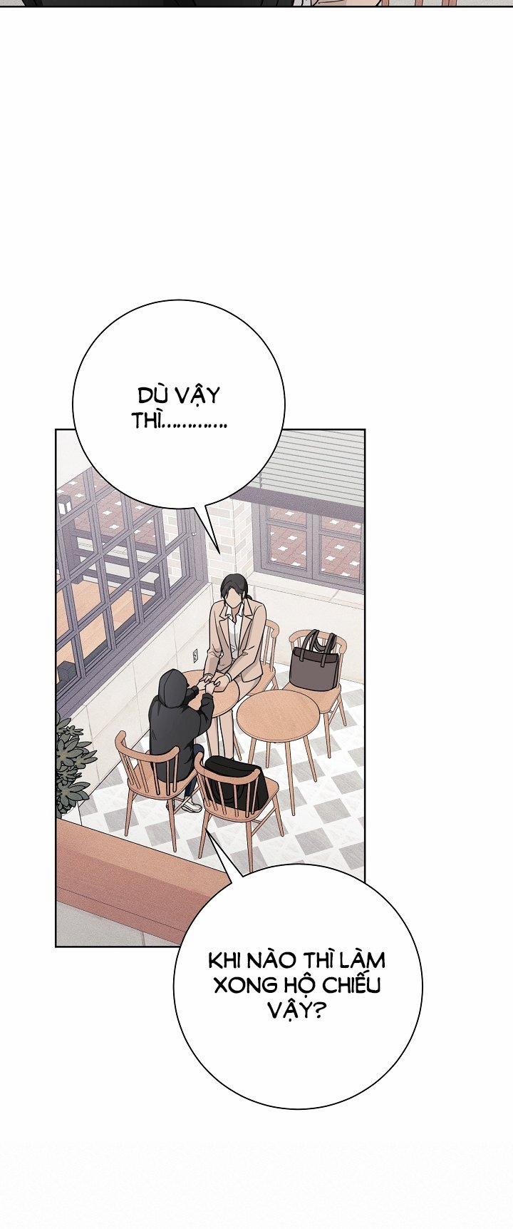 [18+] 11336 21.2 trang 5