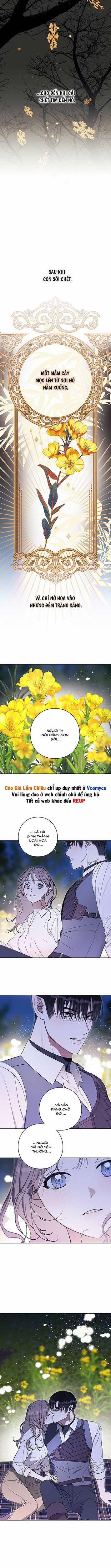 [18+] Aromatic Love 11 trang 3