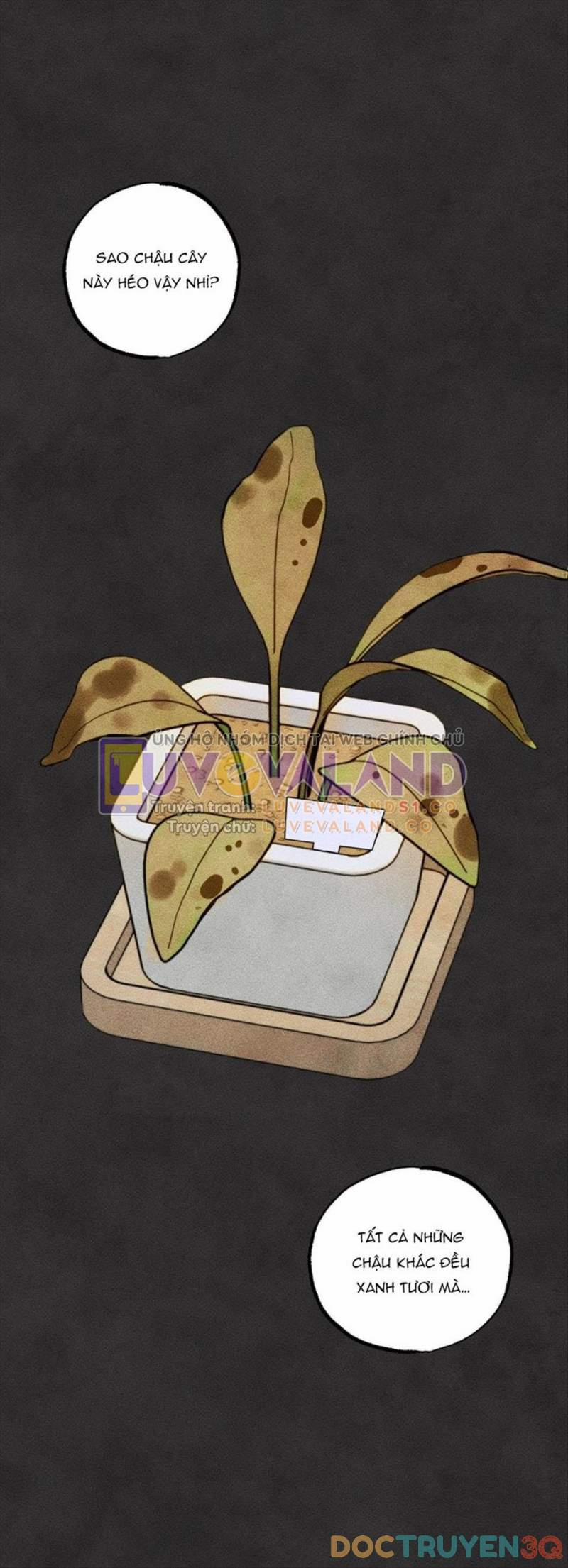 [18+] Bất Mãn Của Yeon Ha 43 trang 20