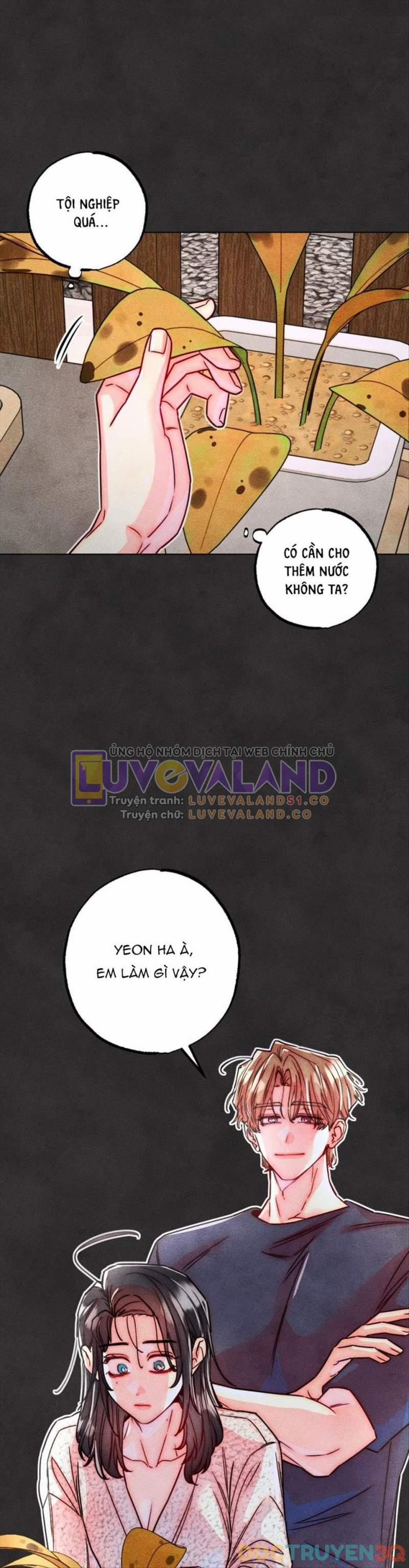 [18+] Bất Mãn Của Yeon Ha 43 trang 21