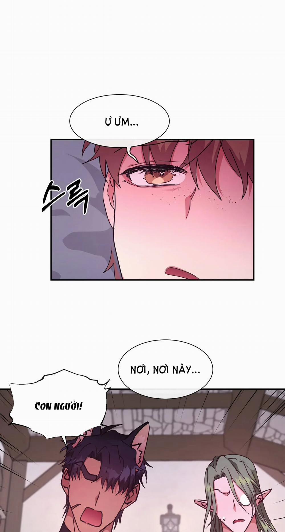 [18+] Bên Trong Lâu Đài ~ Người Lớn Đang Giáo Dục Giới Tính Với Các Chủng Tộc Khác Nhau 30.2 trang 10