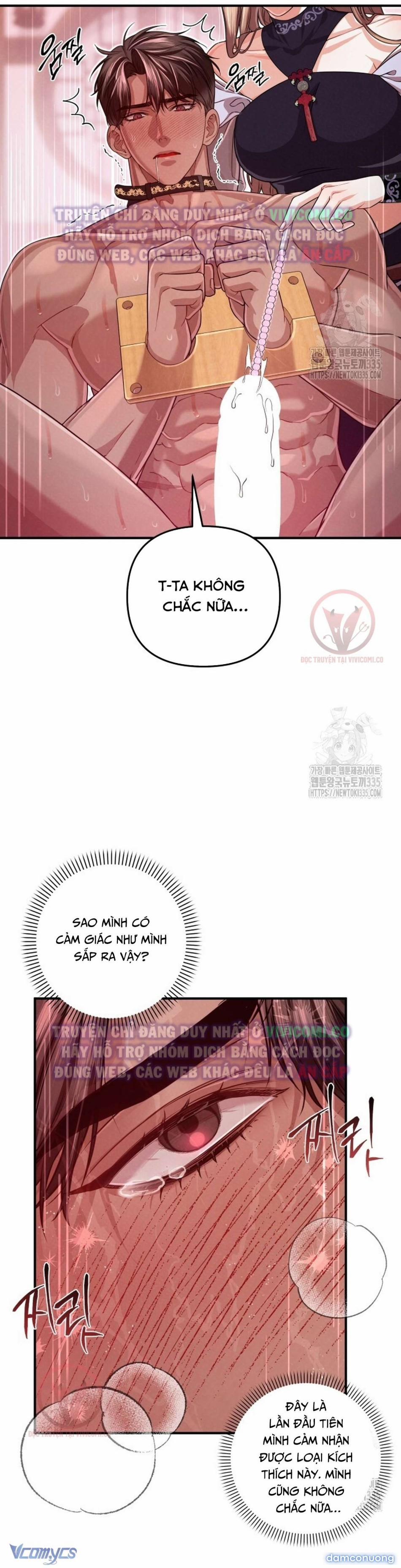 [18+] Bí Mật Của Quyền Lực Và Sự Hủy Diệt 32 trang 11