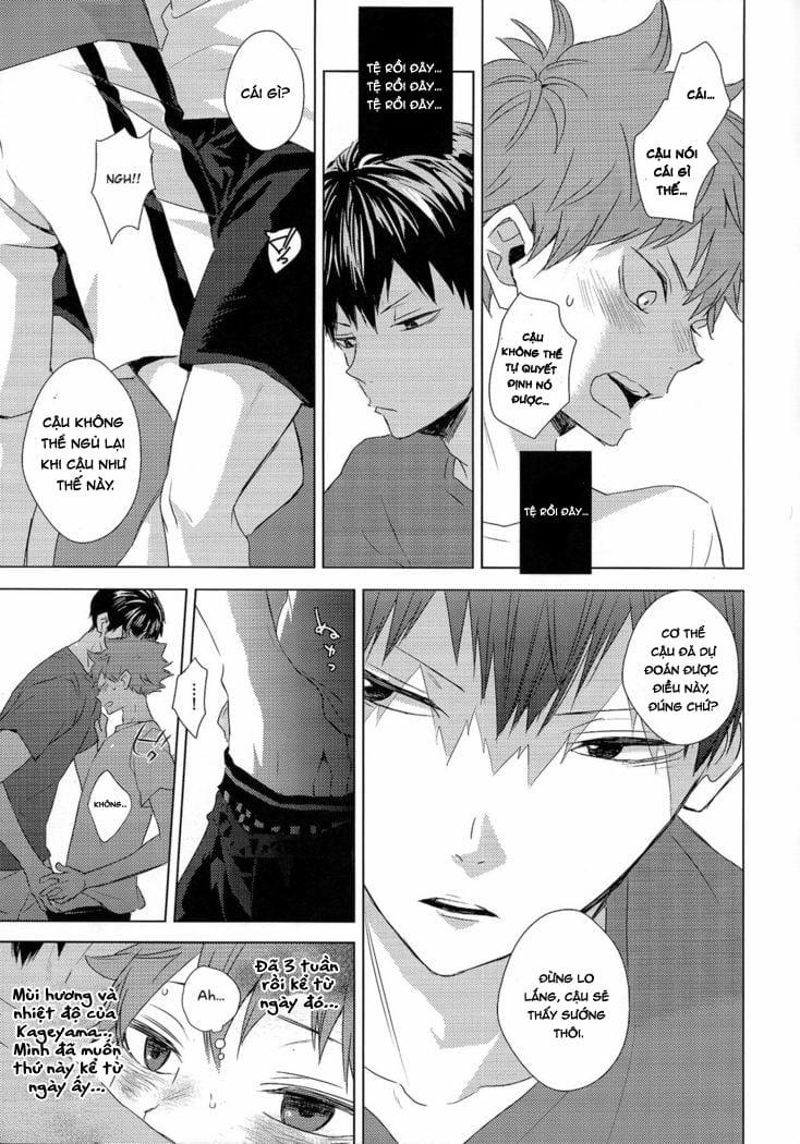 [18+ Bl] Tuyển Tập Oneshot! Haikyuu!! 4 trang 24