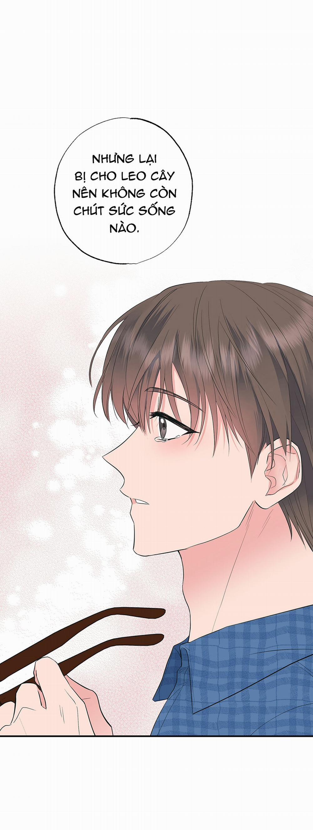 [18+] Bốn Người Chúng Tôi Không Phải Họ Hàng 8 trang 38