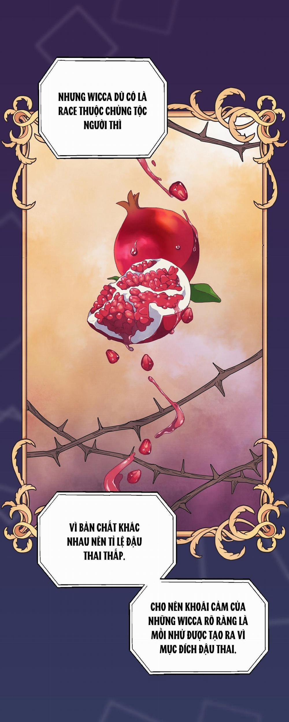 [18+] Chuyện Của Những Pháp Sư Ấy 5.2 trang 14