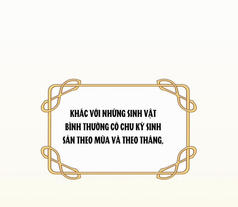 [18+] Chuyện Của Những Pháp Sư Ấy 8.1 trang 21