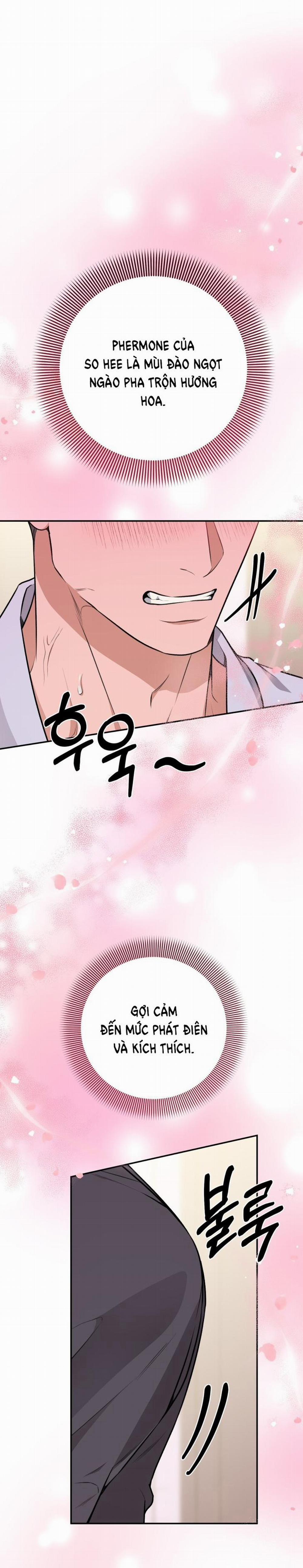 [18+] Cướp Dâu 21.1 trang 0