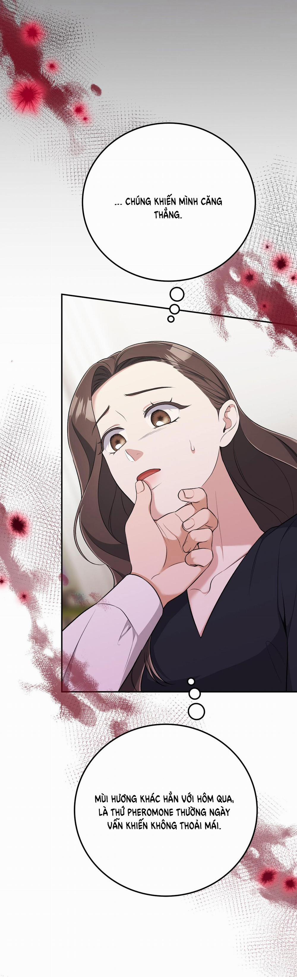 [18+] Cướp Dâu 7.2 trang 4