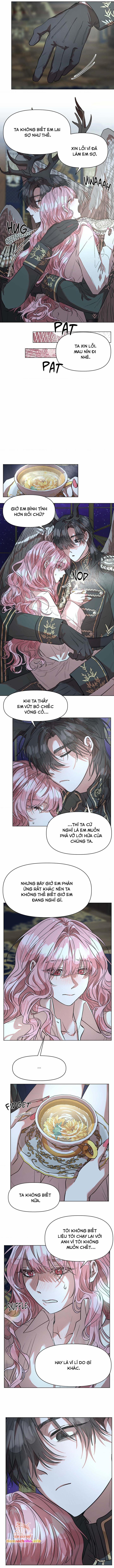 [18+] Dịch Vụ Đặc Biệt 7 trang 5