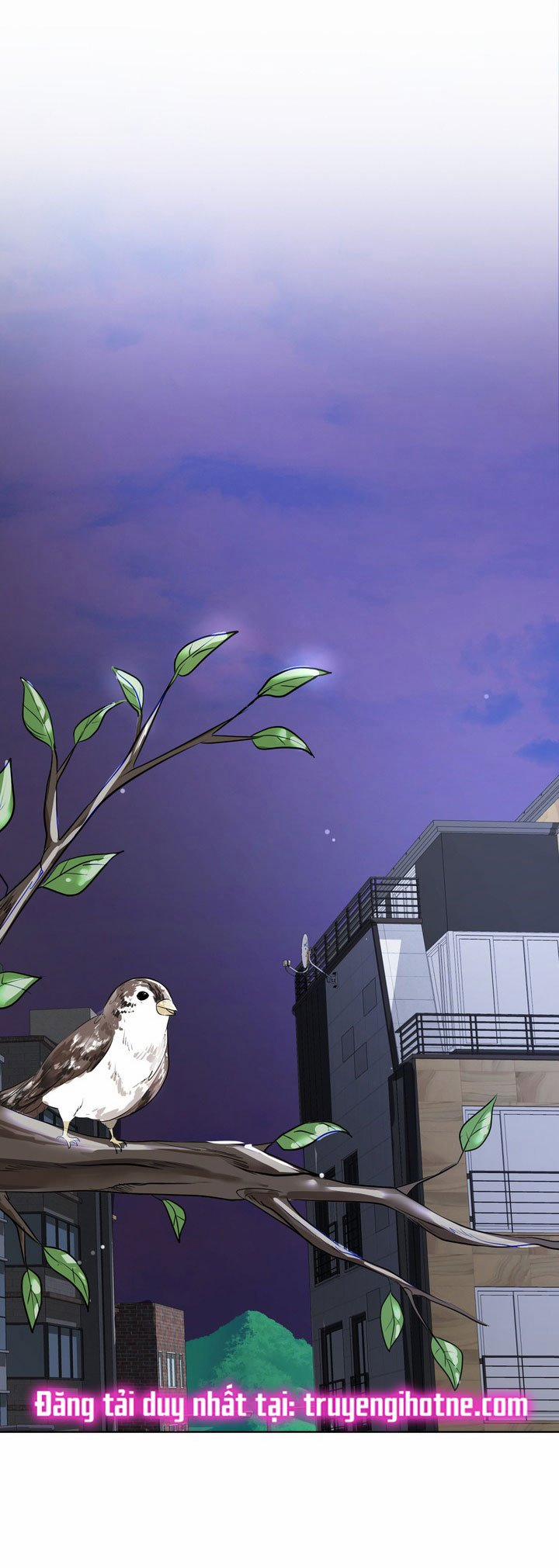 [18+] Điều Em Cố Giấu 8.1 trang 14