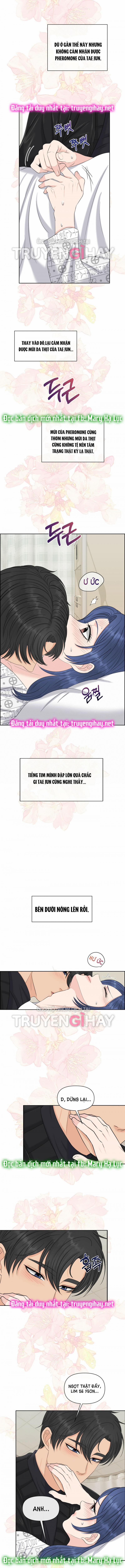 [18+] Em Sẽ Chọn Alpha Nào~ 39.5 trang 0
