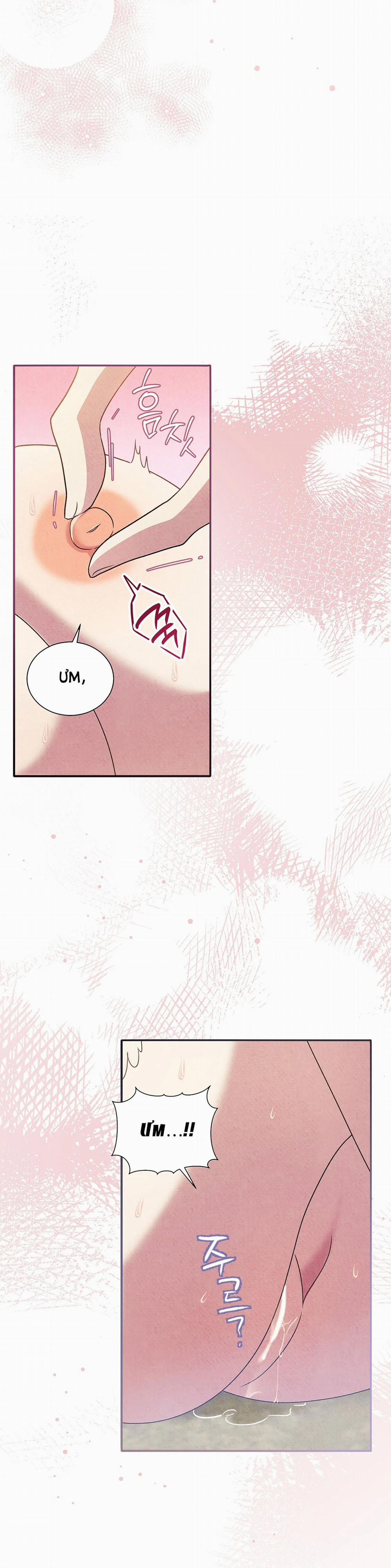 [18+] Hầu Tước Sạch Sẽ Và Quý Cô Bảo Thủ 18.1 trang 13