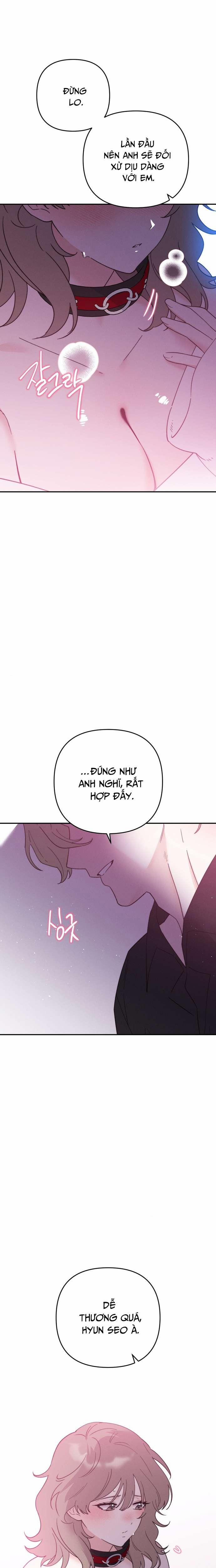 [18+] Họ Sẽ Mãi Hạnh Phúc Bên Nhau 9 trang 1