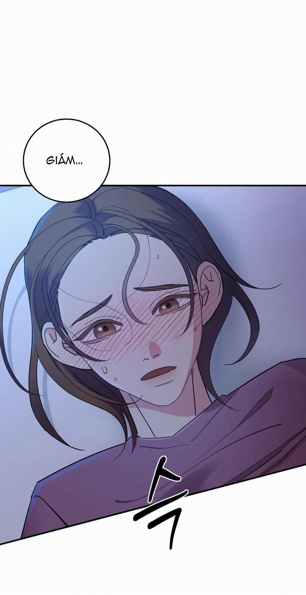 [18+] Hối Lộ Ngọt Ngào 40 trang 24