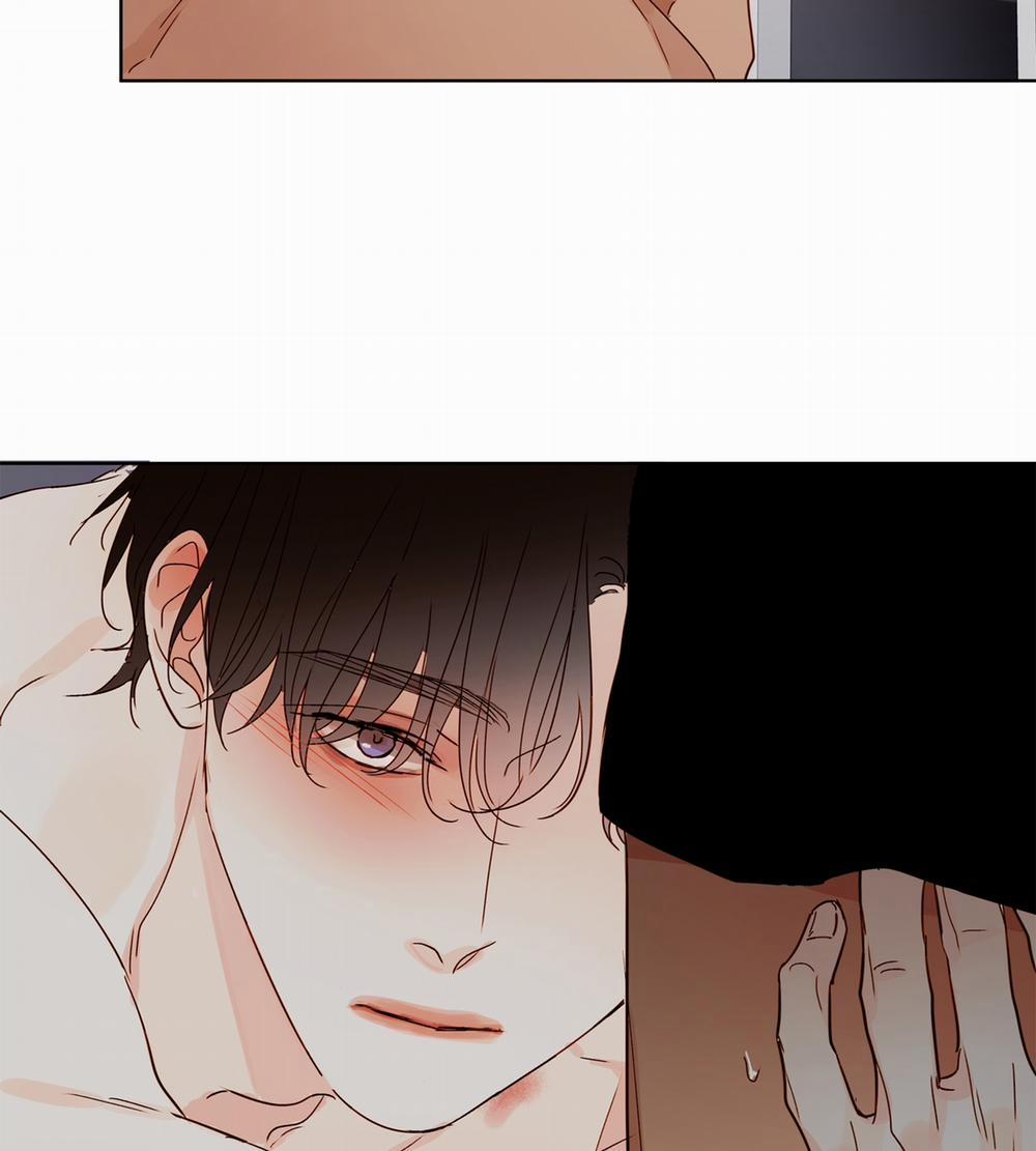 [18+] Home 19.1 trang 18