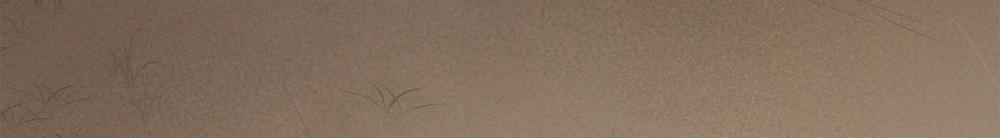 [18+] Home 20.2 trang 63