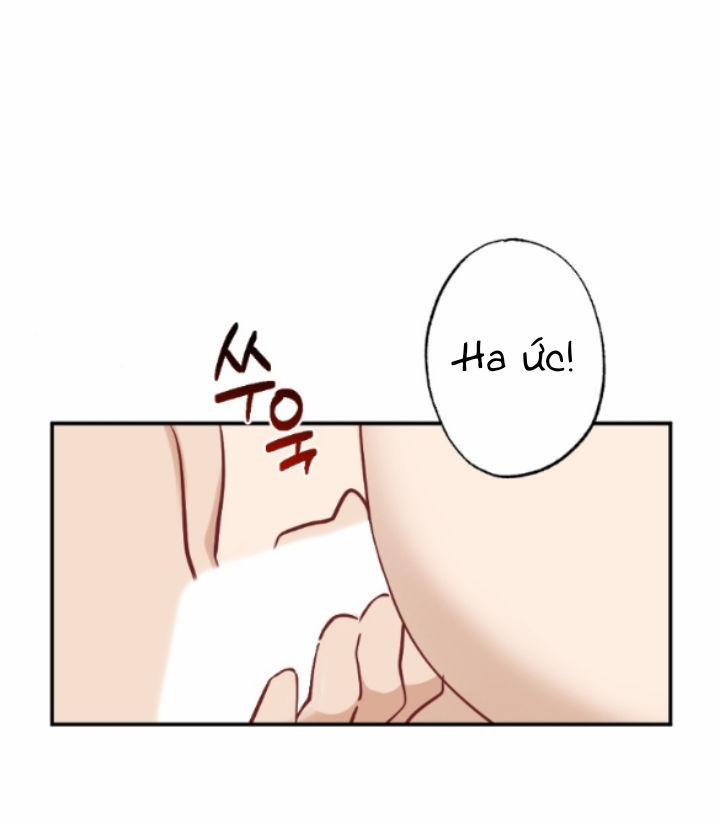 [18+] Hôn Nhân Tiền Định 71.1 trang 12