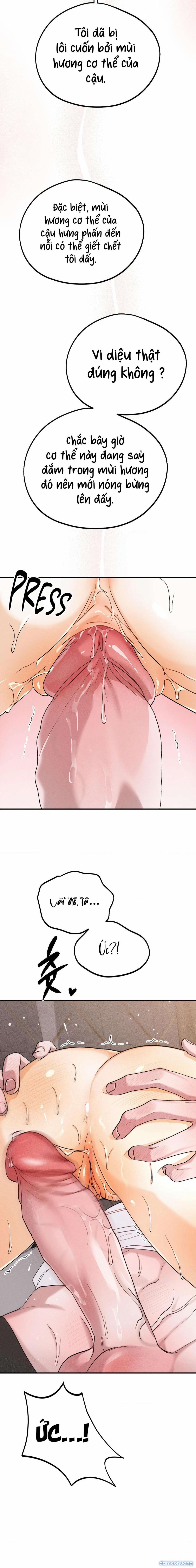 [ 18+ Không Che ] Người Đàn Ông Được Quỷ Theo Đuổi 8 trang 11