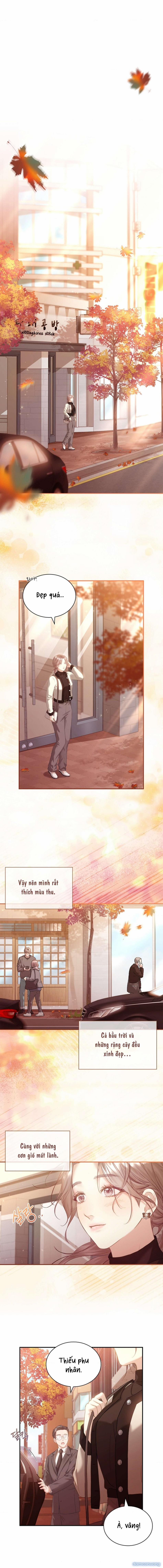 [ 18+ Không Che ] Người Vợ Trẻ 24 trang 4