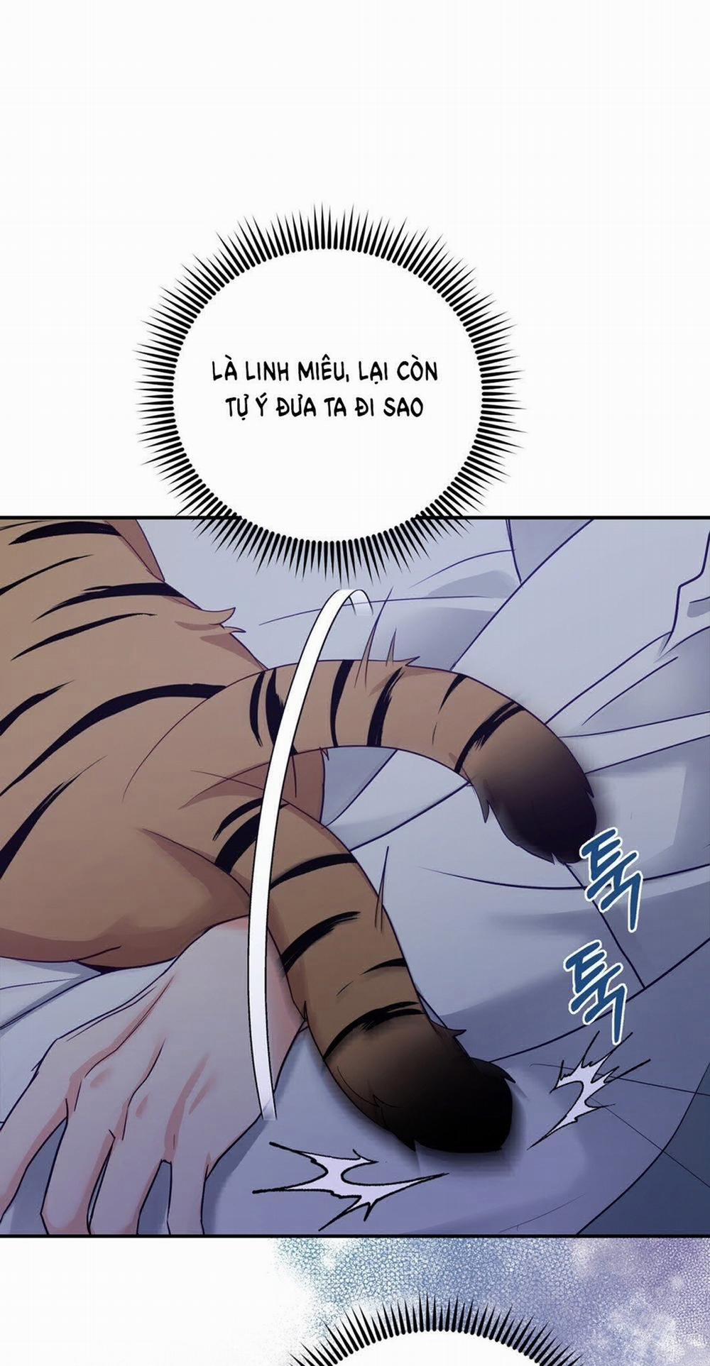 [18+] Khúc Nhạc Của Cầm Thú 2.2 trang 47