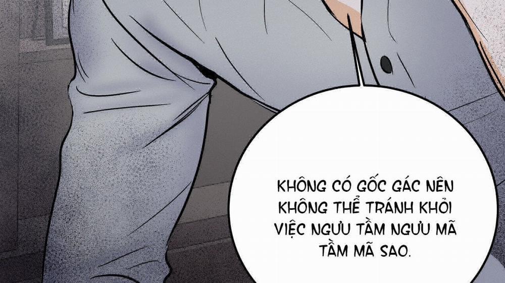 [18+] Lại Là Nói Dối 10.2 trang 44