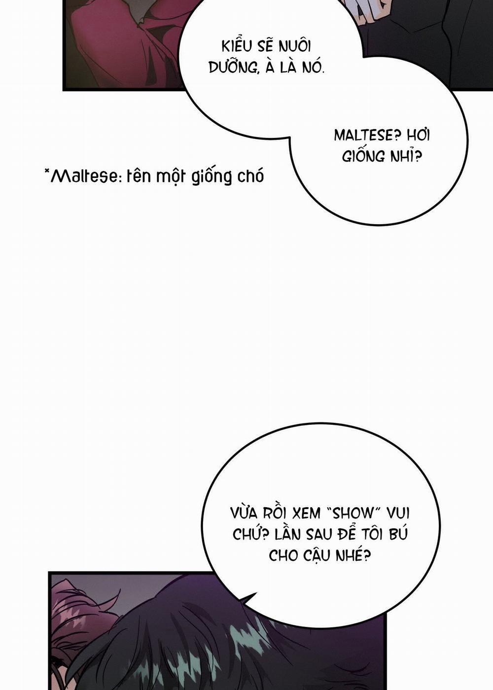 [18+] Lại Là Nói Dối 8.2 trang 4