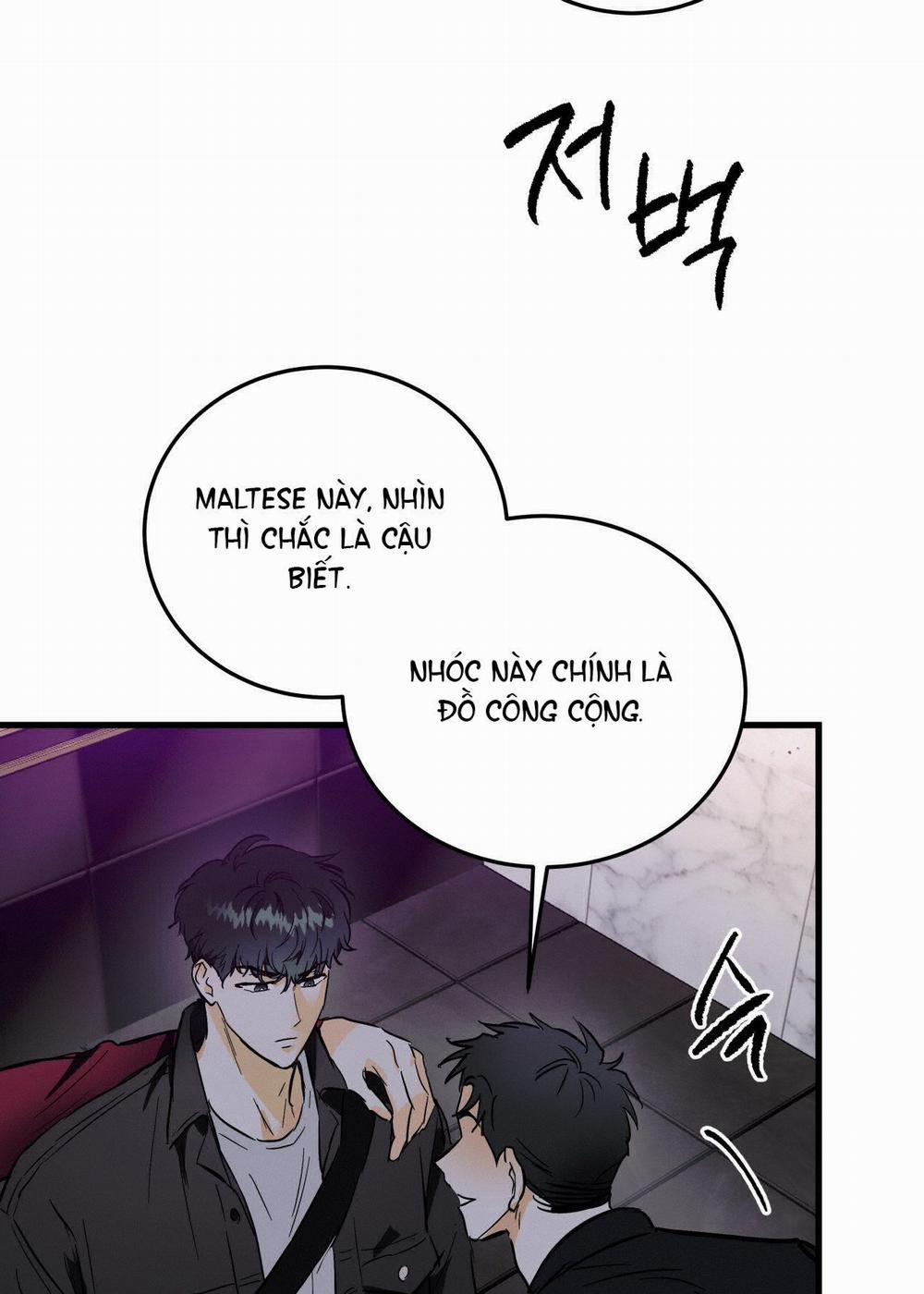 [18+] Lại Là Nói Dối 8.2 trang 7