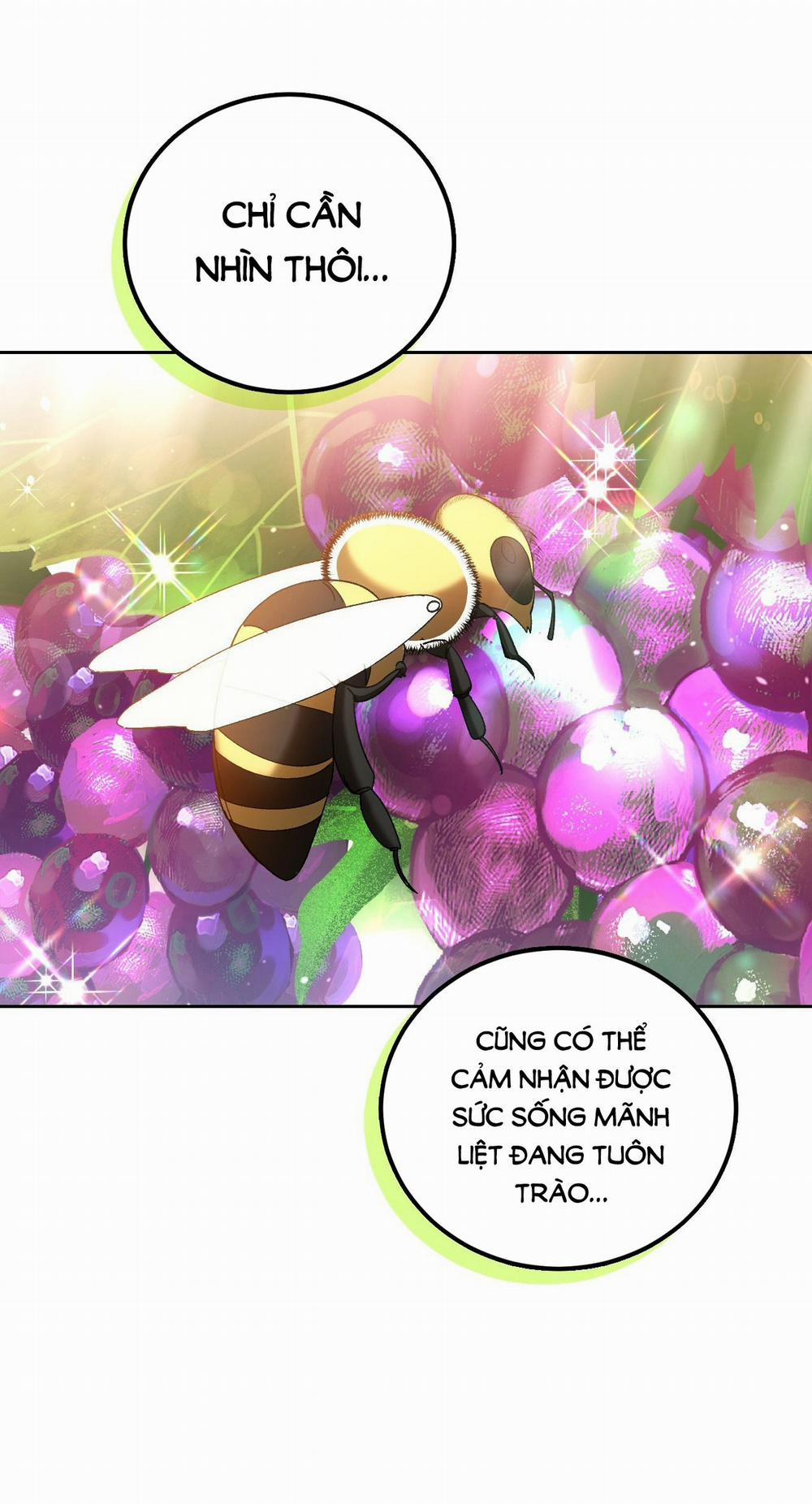 [18+] Lãnh Địa Của Công Nương Không Phải Là Một Công Ty Nhỏ 9.1 trang 6