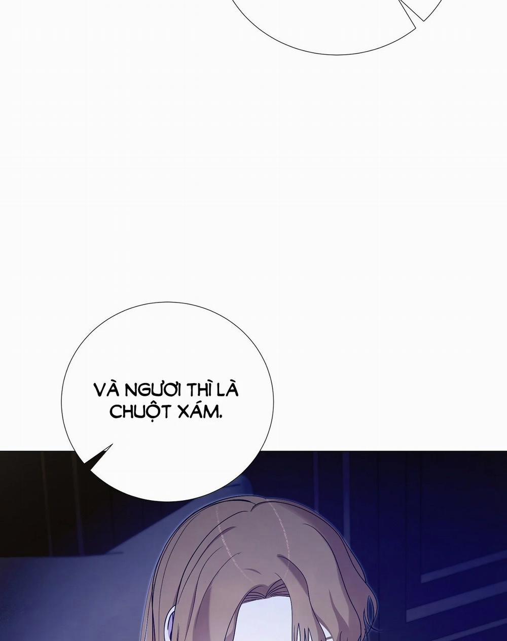 [18+] Lâu Đài Hoang Dại 11.1 trang 43