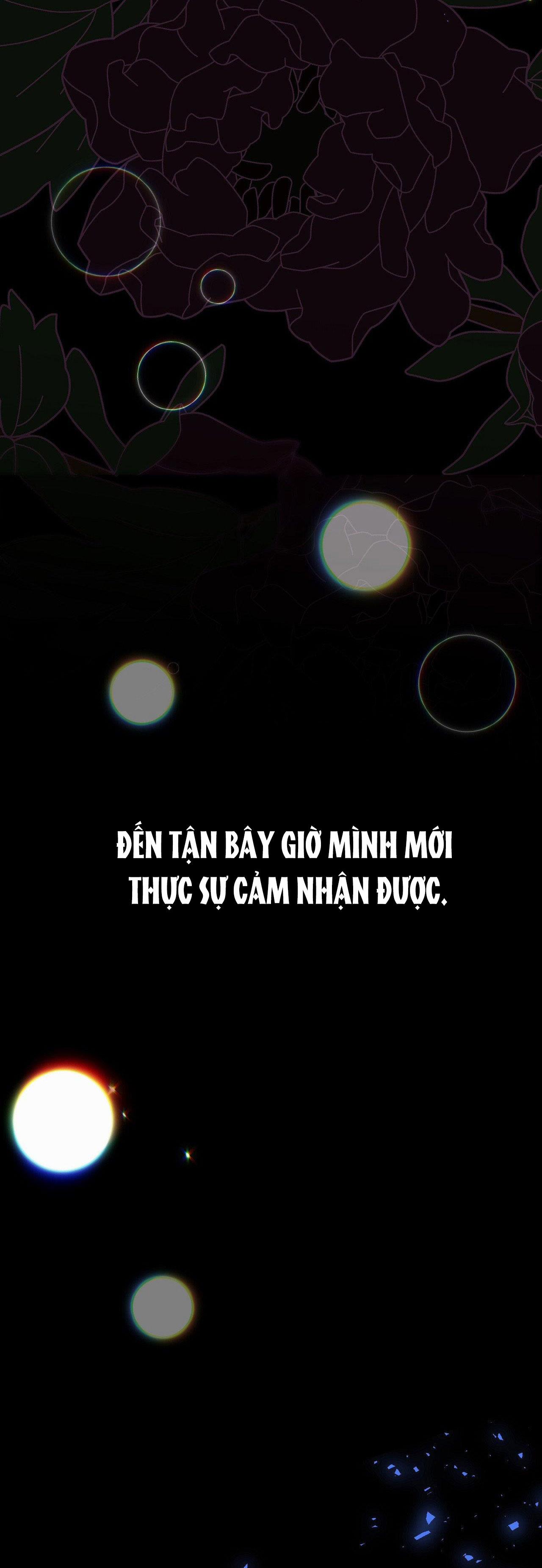 [18+] Lâu Đài Hoang Dại 30.2 trang 4