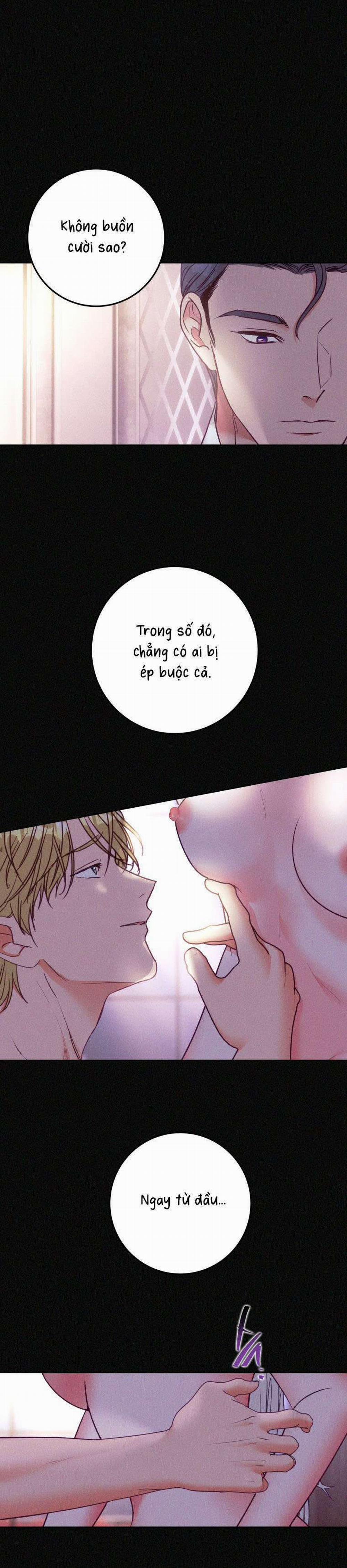 [ 18+ ] Lời Nguyền Tóc Đỏ 1 trang 5