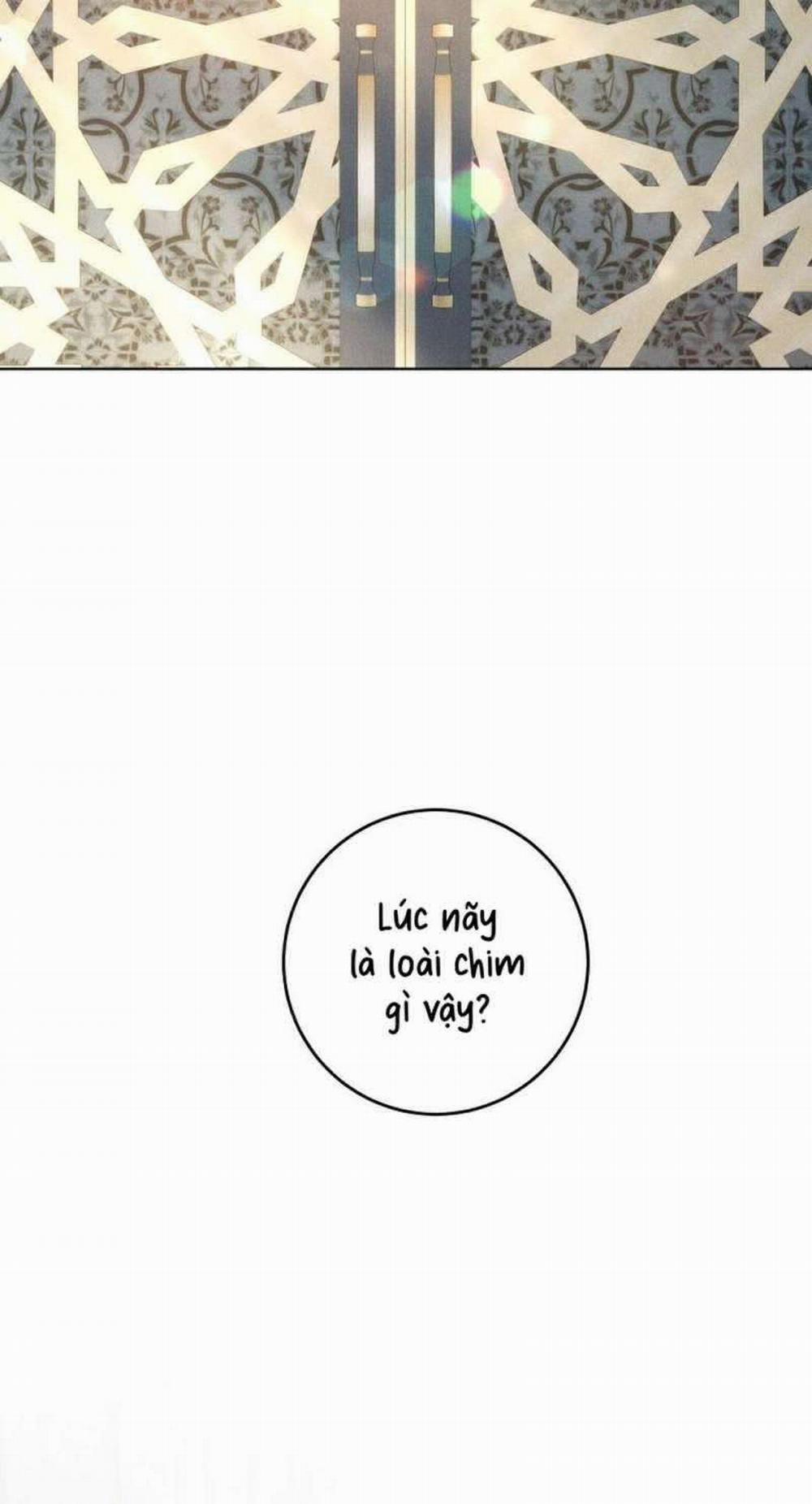 [ 18+ ] Lời Nguyền Tóc Đỏ 10 trang 29