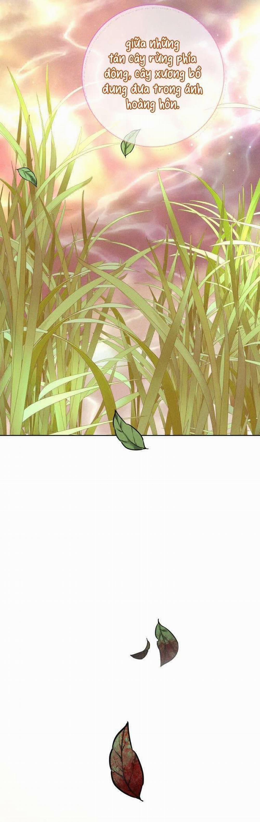 [ 18+ ] Lời Nguyền Tóc Đỏ 4 trang 29