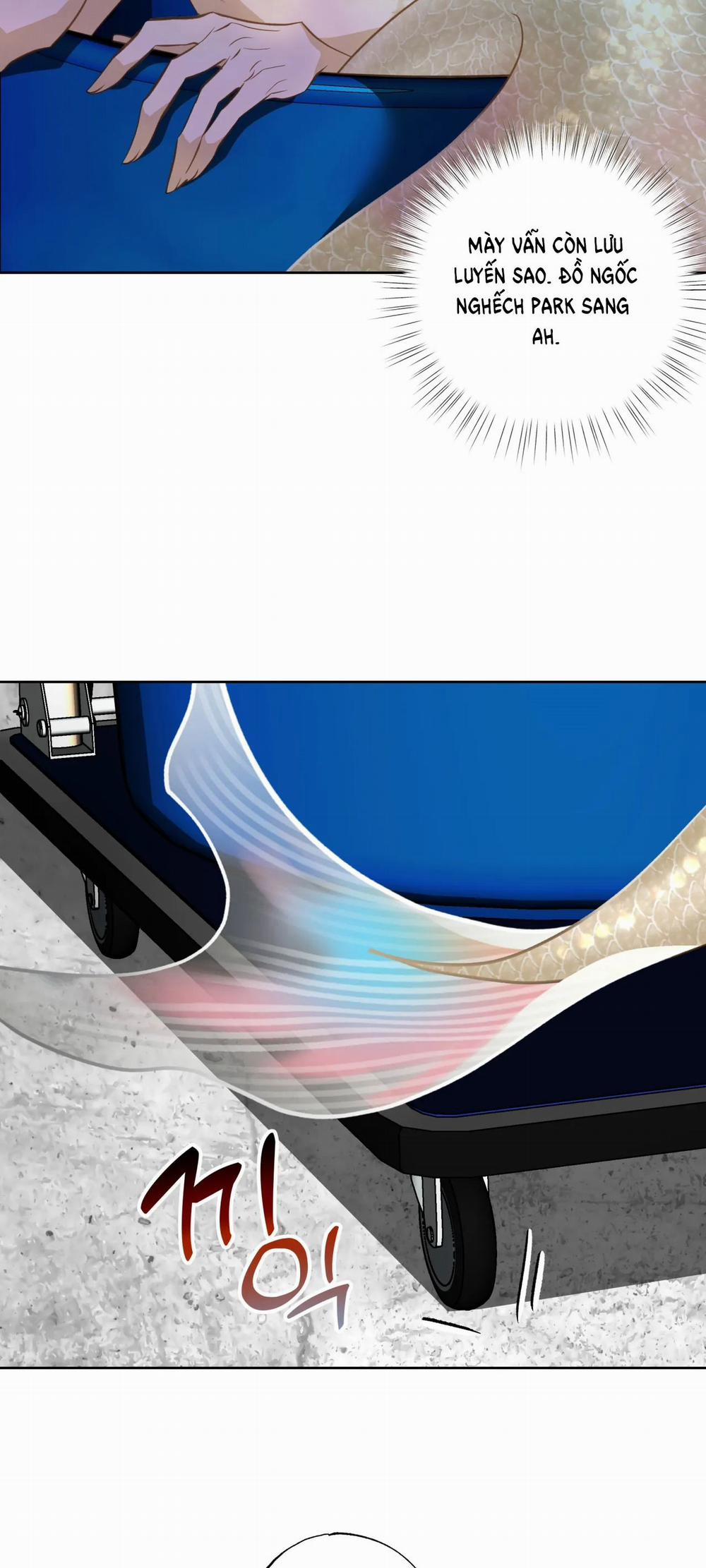 [18+] Mối Tình Đầu Của Chủ Quán Hải Sản Là Người Cá 7.2 trang 17
