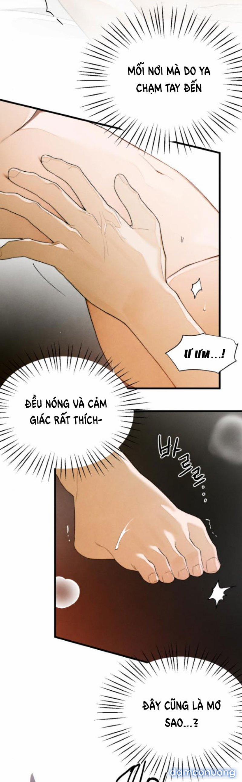 [18+] Mong Ước Của Ác Quỷ 29 trang 11