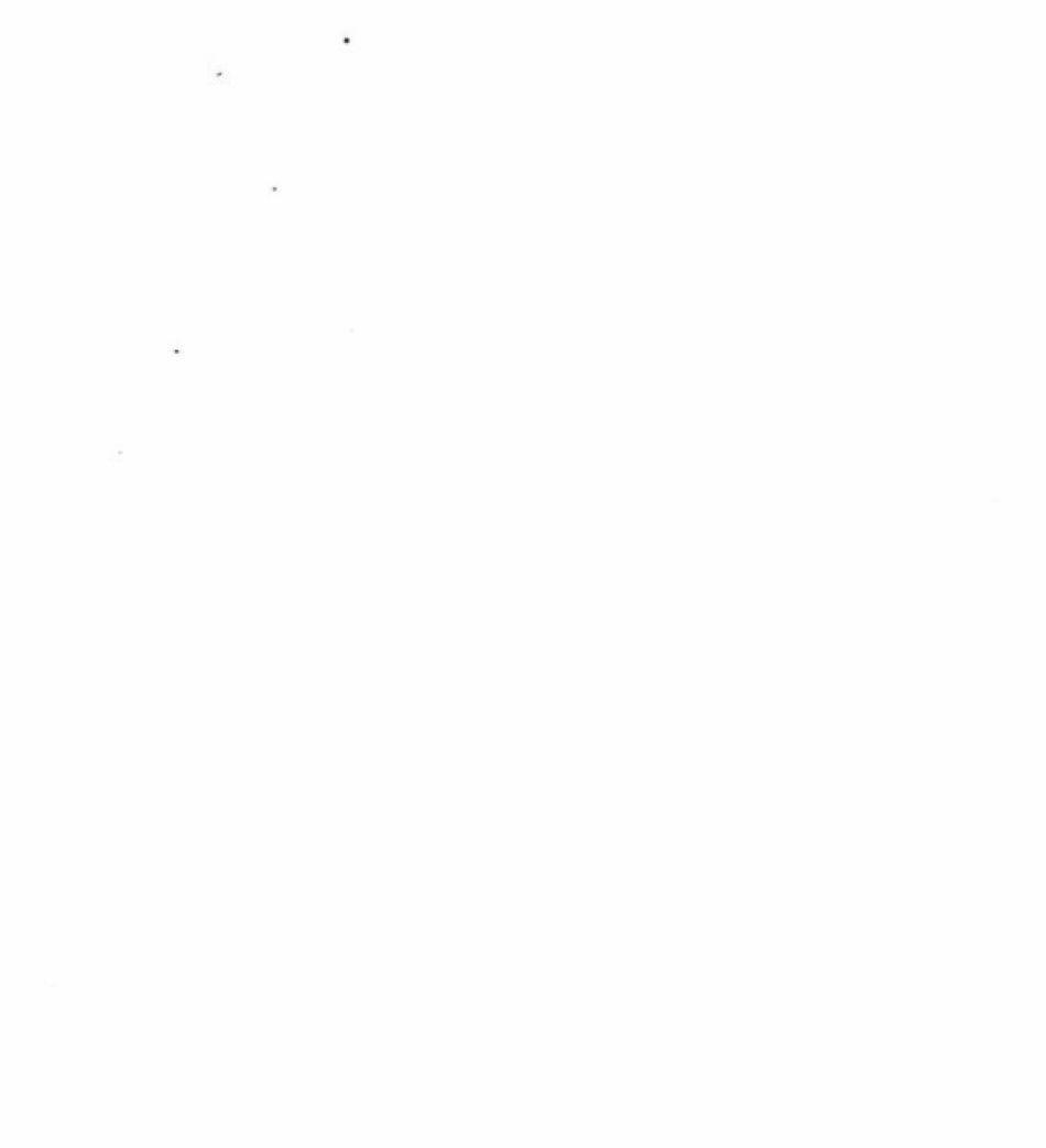 [18+] Nước Mắt Trên Đóa Hoa Tàn 60 trang 13