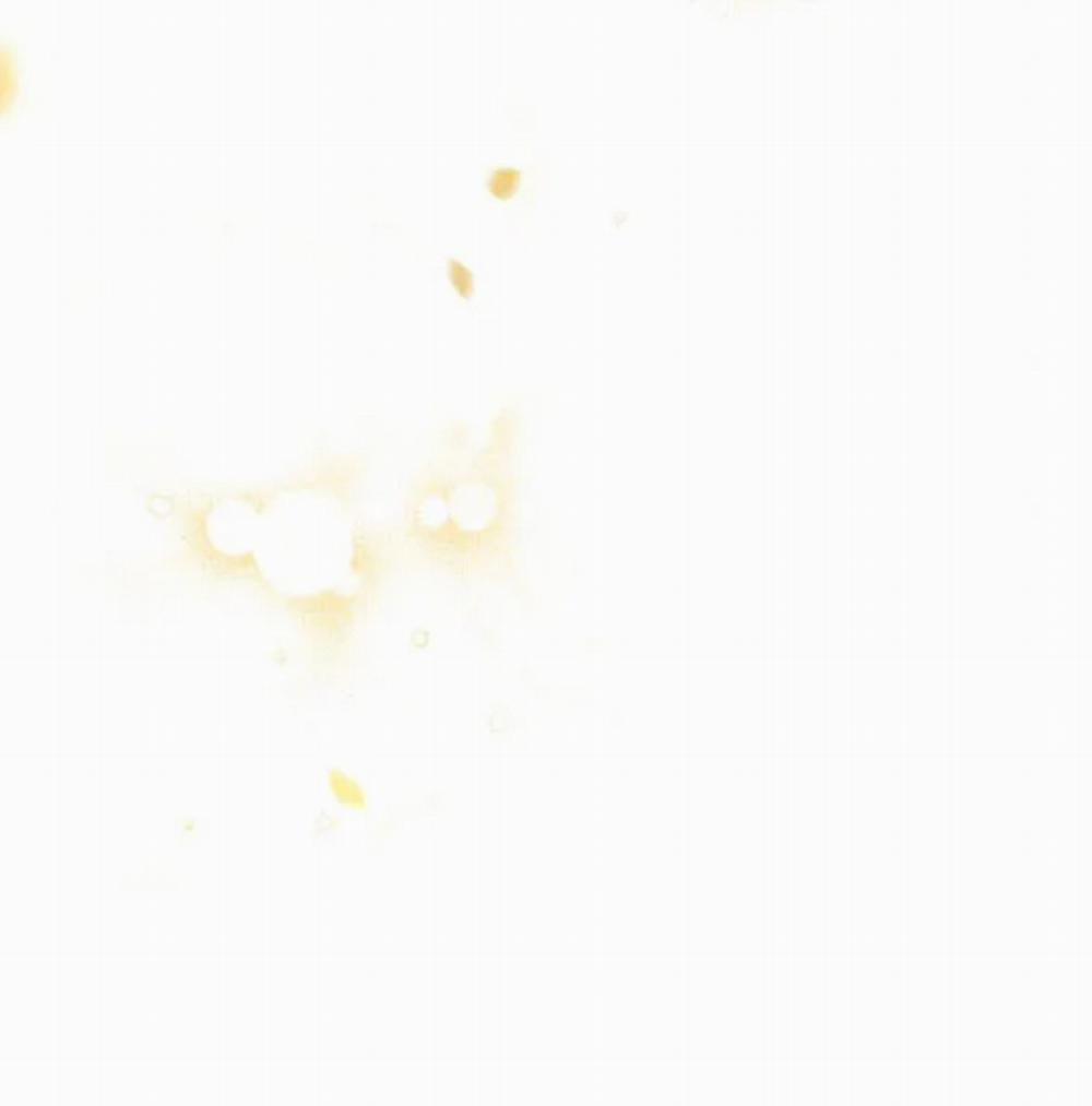 [18+] Phòng Ngủ Bí Mật Của Công Chúa Bị Bỏ Rơi 13.5 trang 65