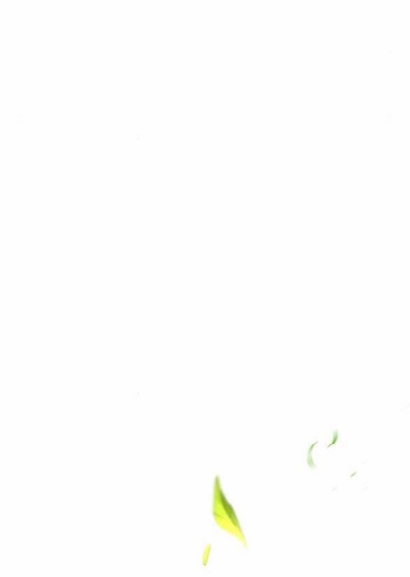 [18+] Phòng Ngủ Bí Mật Của Công Chúa Bị Bỏ Rơi 55.1 trang 94