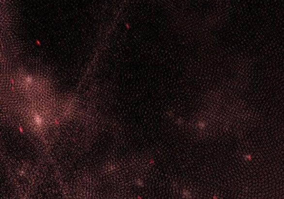 [18+] Phòng Ngủ Bí Mật Của Công Chúa Bị Bỏ Rơi 58.2 trang 22