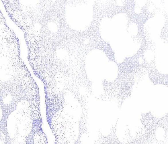 [18+] Phòng Ngủ Bí Mật Của Công Chúa Bị Bỏ Rơi 62.1 trang 3