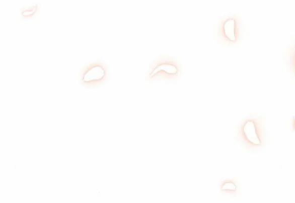 [18+] Phòng Ngủ Bí Mật Của Công Chúa Bị Bỏ Rơi 66.2 trang 75