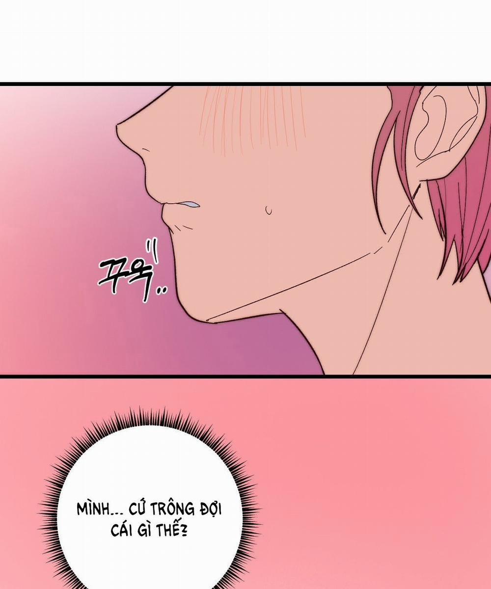 [18+] Sự Ngọt Ngào Đẫm Máu 11.2 trang 3