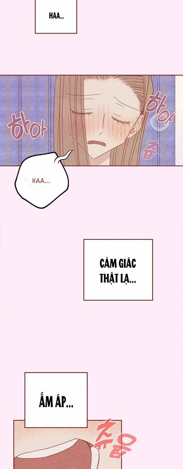 [18+] Thú Cưng Nguy Hiểm 17 trang 15