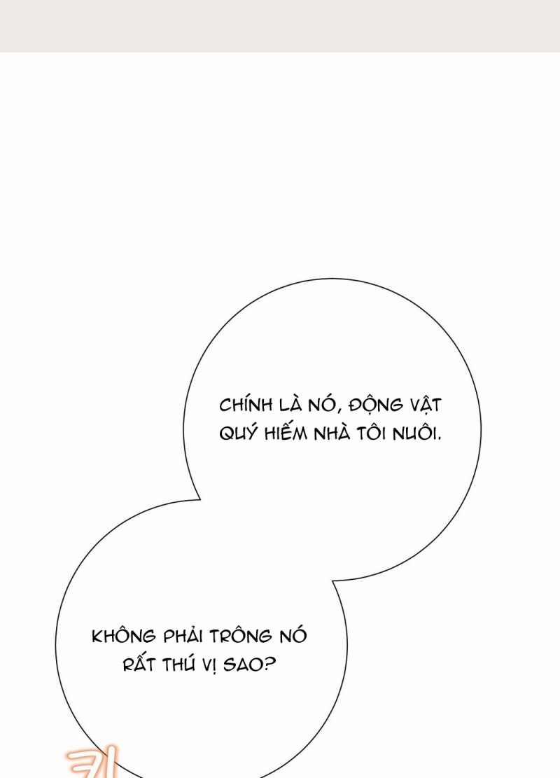 [18+] Trải Nghiệm Thân Mật Với Bạn Của Anh Trai 39.1 trang 22