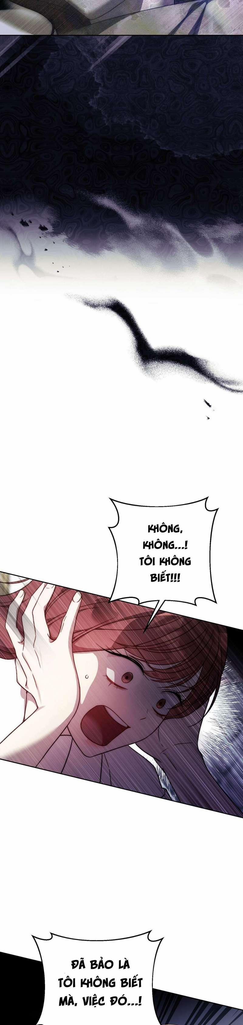 [ 18+ ] Vụ Bê Bối Pháp Lý 22 trang 13