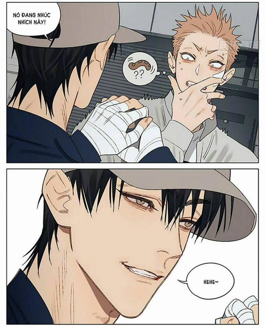 19 Days 534 trang 7