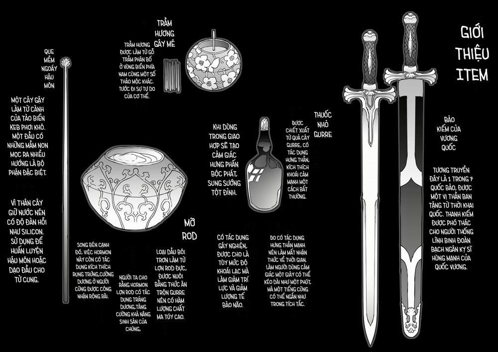 王となる者～王姫調教録～ 2 trang 11