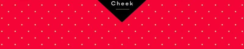 [21+] Chuyển Sinh Thành Nữ Phụ Phản Diện, Tôi Bị Trói Buộc Bởi Hoàng Tử Yandere Mạnh Nhất Ngoài Nam Chính 7.2 trang 144