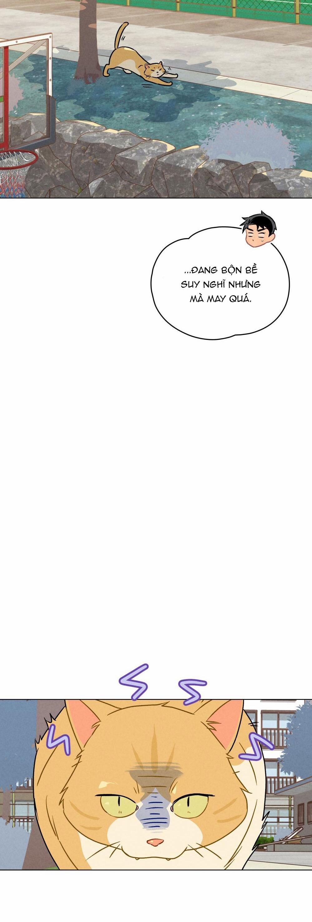 30 PHÚT TRƯỚC KHI TỎ TÌNH 13 trang 15